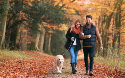 Who Speaks for You? Choosing Trusted Decision-Makers in Maryland When You Don’t Have Children